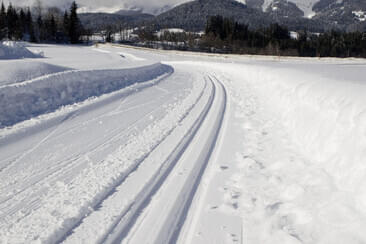 Langlaufen & Schneeschuhwandern Bild 3